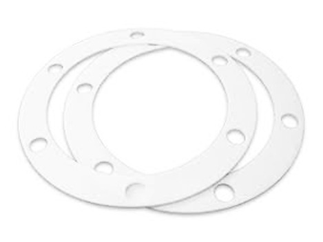 Expanded PTFE Cut Gaskets