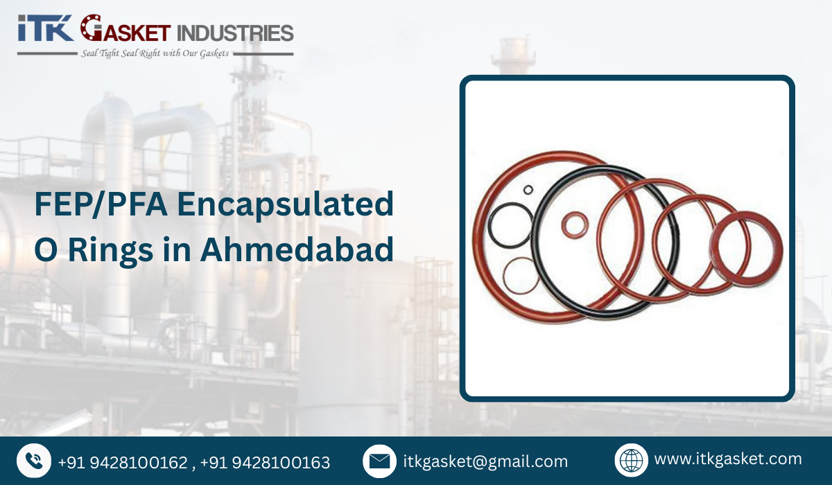 FEP/PFA Encapsulated O Rings in Ahmedabad