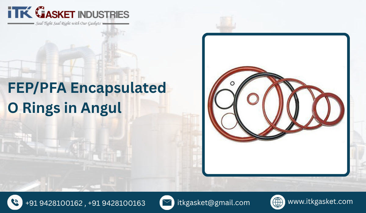 FEP/PFA Encapsulated O Rings in Angul