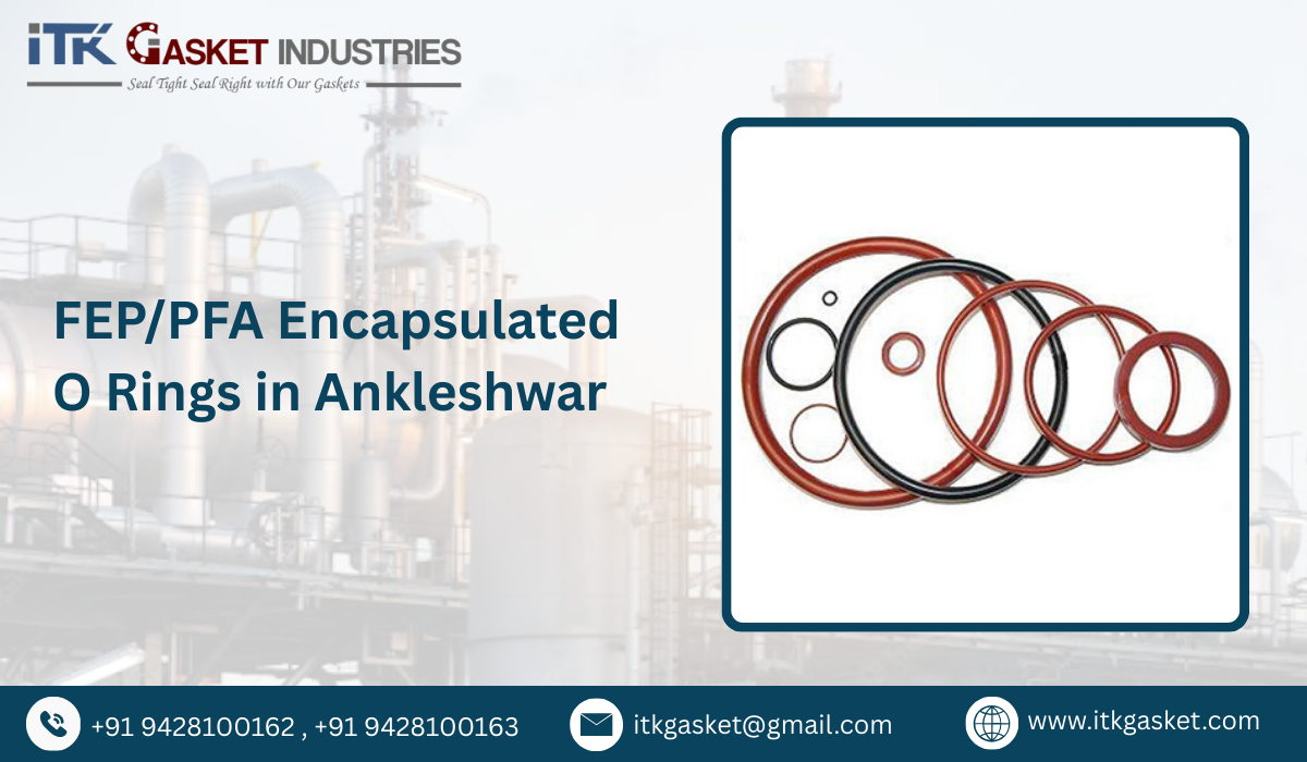 FEP/PFA Encapsulated O Rings in Ankleshwar