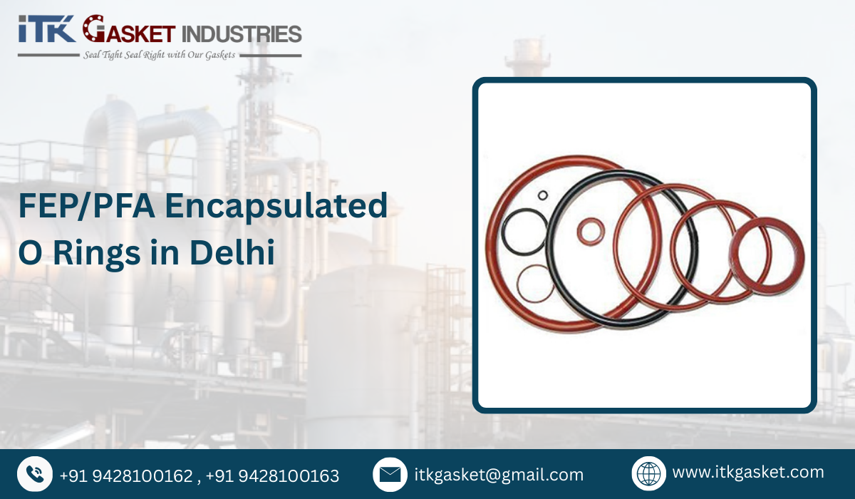 FEP/PFA Encapsulated O Rings in Delhi