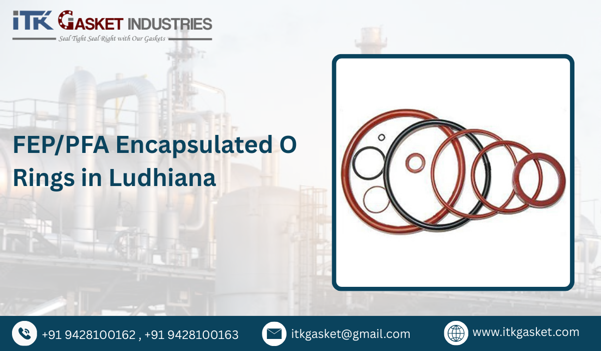 FEP/PFA Encapsulated O Rings in Ludhiana