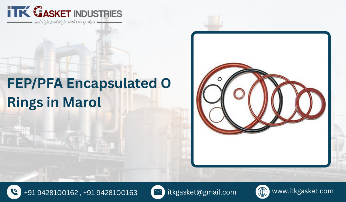 FEP/PFA Encapsulated O Rings in Marol