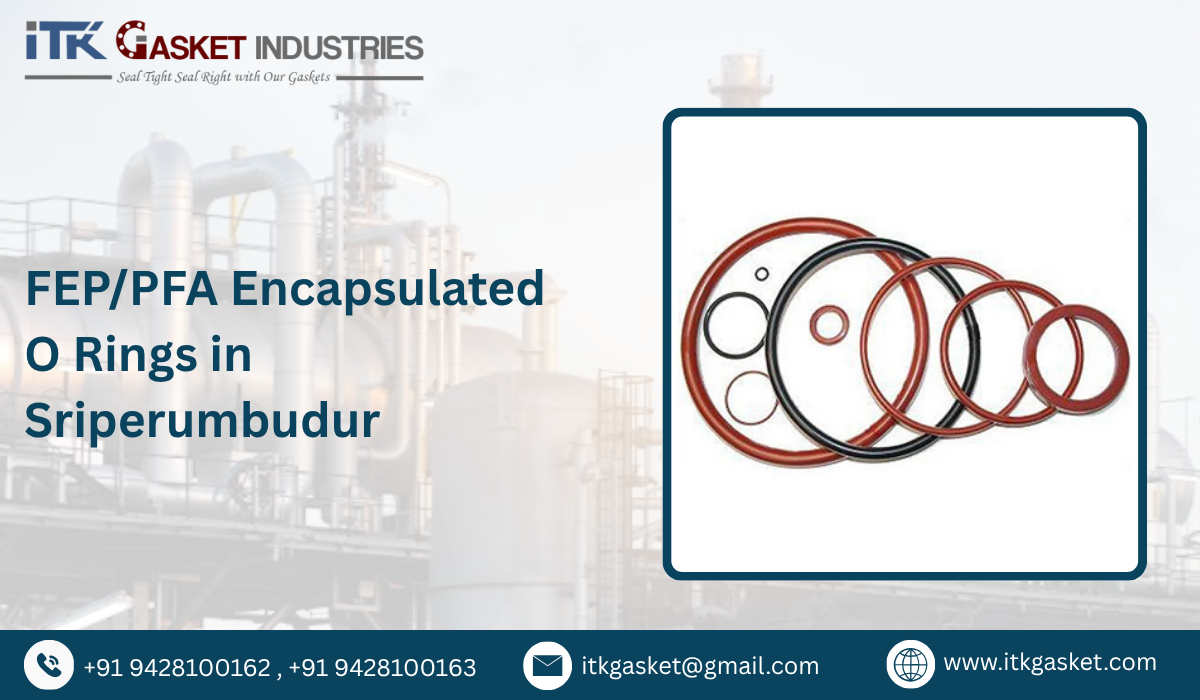 FEP/PFA Encapsulated O Rings in Sriperumbudur