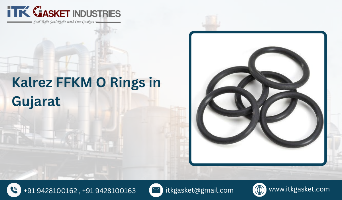 Kalrez FFKM O Rings in Gujarat